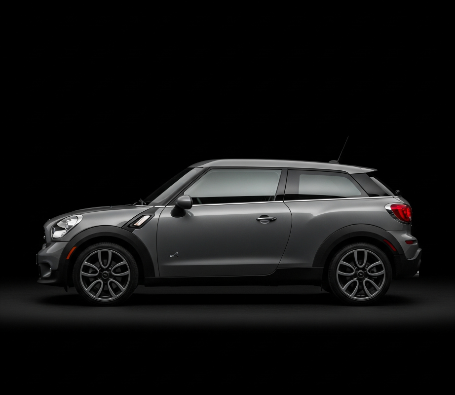 Mini Paceman