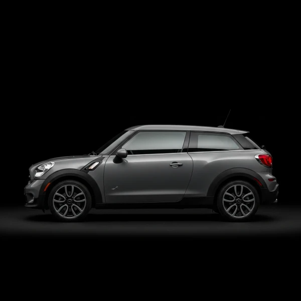 Mini Paceman